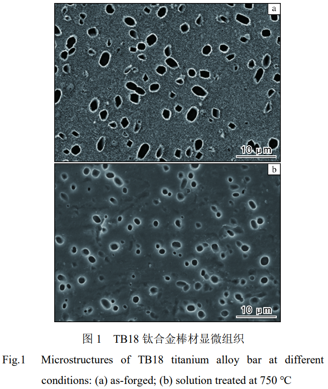 截圖20250330112220.png