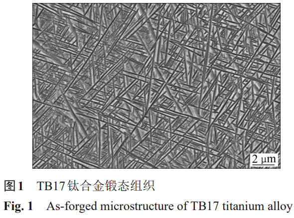 截圖20251007214937.png